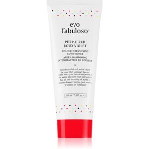 EVO Fabuloso Colour Boosting Treatment haj maszk a hajszín élénkítéséért árnyalat Purple Red 220 ml
