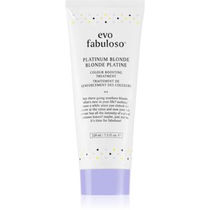 EVO Fabuloso Colour Boosting Treatment haj maszk a hajszín élénkítéséért árnyalat Platinum Blonde 220 ml