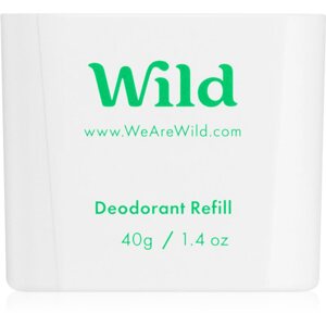 Wild Mint & Aloe Vera Men izzadásgátló deo stift utántöltő 40 g