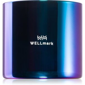 Wellmark Better Silk illatgyertya 1 db