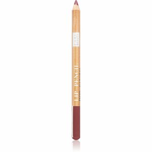 Astra Make-up Pure Beauty Lip Pencil szájkontúrceruza natúr árnyalat 06 Cherry Tree 1,1 g
