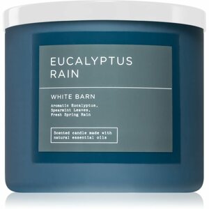 Bath & Body Works Eucalyptus Rain illatgyertya 411 g