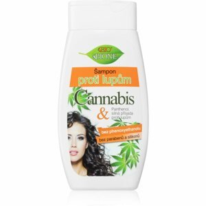 Bione Cosmetics Cannabis korpásodás elleni sampon 260 ml