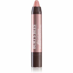 Burt’s Bees Glossy Lip Crayon magas fényű rúzs ceruzában árnyalat 401 Outback Oasis 2.83 g