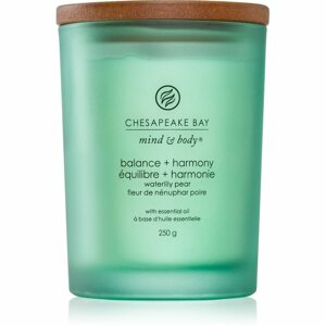 Chesapeake Bay Candle Mind & Body Balance & Harmony illatgyertya 250 g