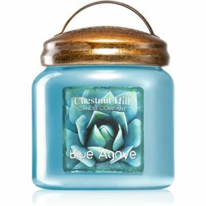 Chestnut Hill Blue Agave illatgyertya 454 g
