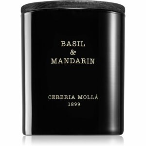 Cereria Mollá Boutique Basil & Mandarin illatgyertya 230 g