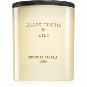 Cereria Mollá Boutique Black Orchid & Lily illatgyertya 230 g