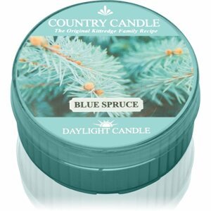Country Candle Blue Spruce teamécses 42 g