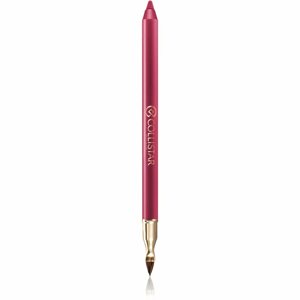 Collistar Professional Lip Pencil tartós szájceruza árnyalat 113 Autumn Berry 1,2 g
