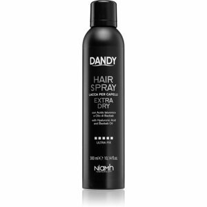 DANDY Hair Spray hajlakk erős fixálással hialuronsavval 300 ml