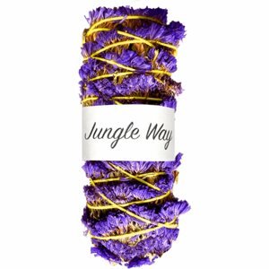 Jungle Way White Sage & Forget-Me-Not tömjén 10 cm
