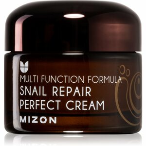 Mizon Multi Function Formula Snail bőrkrém csiga szekréció 60% szűrletével 50 ml