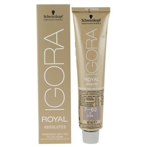 Schwarzkopf Professional IGORA Royal Absolutes hajfesték árnyalat 6-60 Dark Blonde Chocolate Natural 60 ml