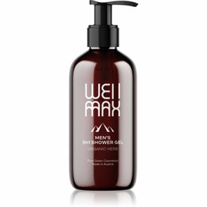 WellMax Men's Shower Gel 3in1 fürdőgél férfiaknak 3 az 1-ben 250 ml