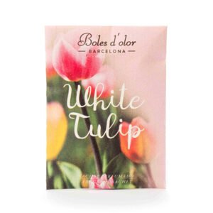 BOLES D´OLOR - Fehér tulipán